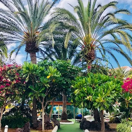 Wonderland With The Best Swimming Pool In Park S Iii Playa de las Américas